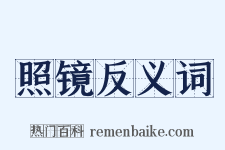 照镜反义词是什么意思的图片